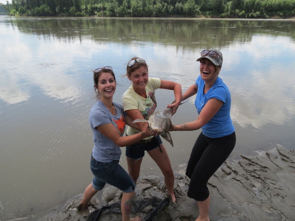 Sturgeon fishing on the North Saskatchewan River 