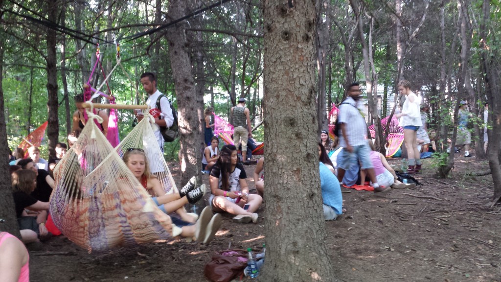 Hammocks in the Woods