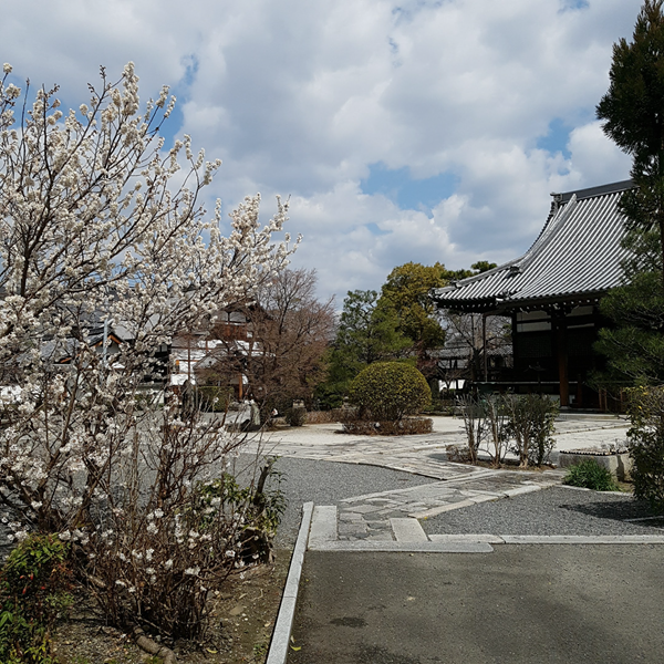 Zen Garden in Kyoto