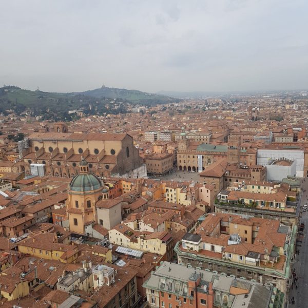 Bologna from the Tower