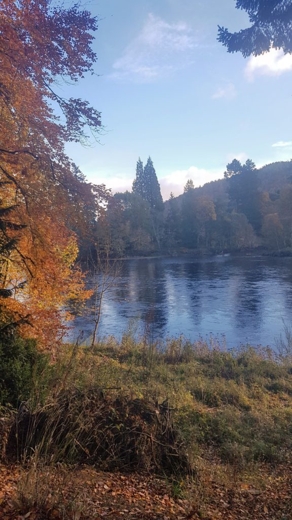 The River Tay with fall colours