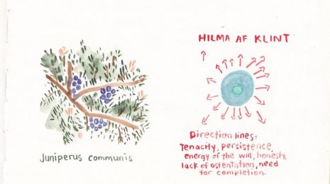 Illustration of a Juniper Plan and Hilma Af Klint's abstraction