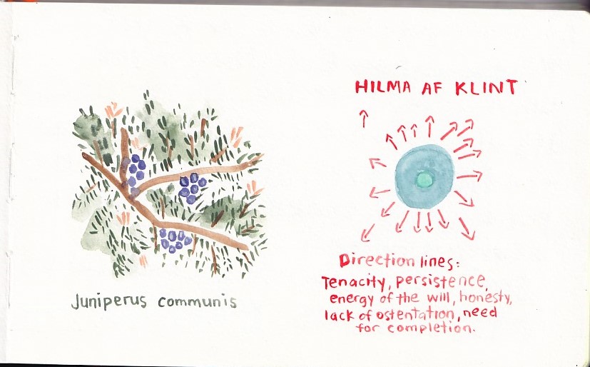 Illustration of a Juniper Plan and Hilma Af Klint's abstraction