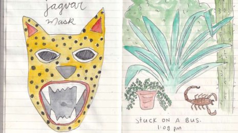 Jaguar Mask and a drawing of a scorpian in a Mexican garden with a giant aloe vera plant.
