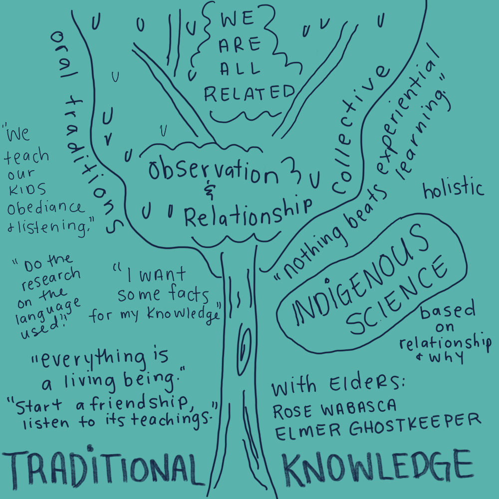 Traditional Knowledge. Quotes from interviews with Elder Rose Wabasca and Elmer Ghostkeeper. Indigenous Science is based on the relationship and why. We are all related. Everything is a living being, start a friendship, and listen to their teachings.