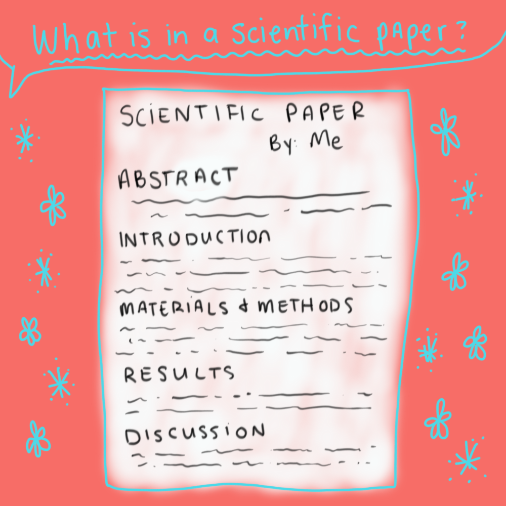 What's in a scientific paper? Abstract,  introduction, materials and methods, results, and discussion.