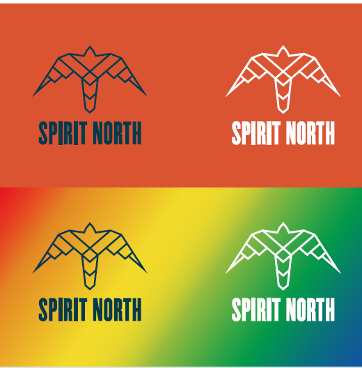 Photo of EDI Brand Guidelines Spirit North