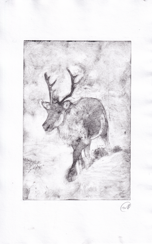 Intaglio Printmaking - Caribou walking through a snowstorm